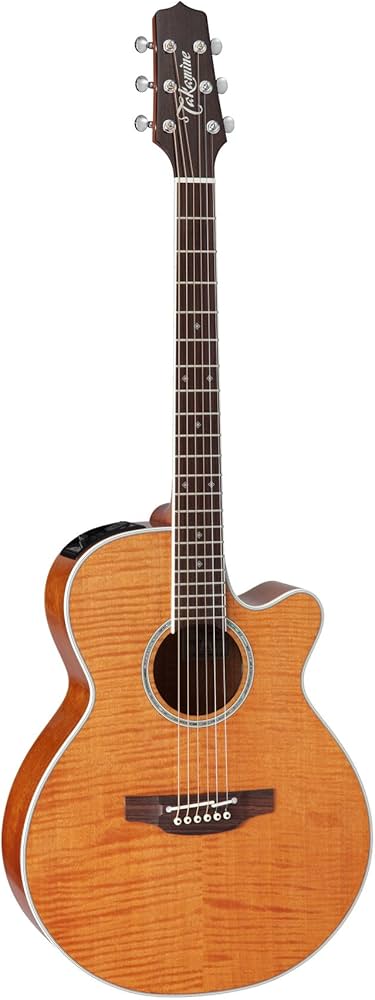 Amazon | TAKAMINE PTU121C VN エレクトリックアコースティックギター
