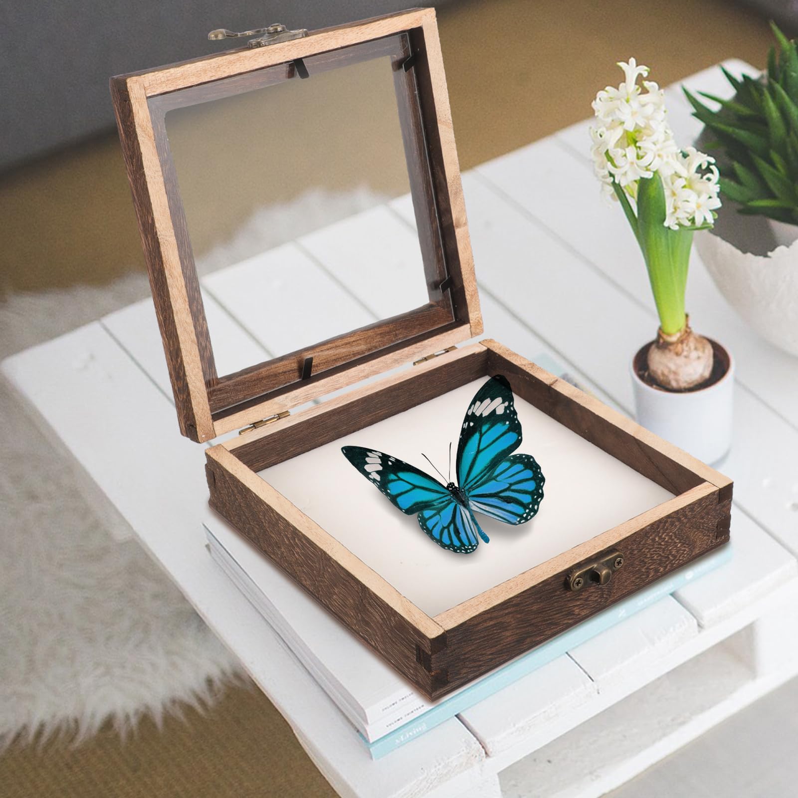 Amazon.co.jp: OUNONA 木製標本箱 昆虫標本ケース 小型 透明アクリル蓋