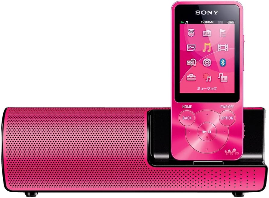 Amazon.co.jp: ソニー SONY ウォークマン Sシリーズ NW-S14K : 8GB