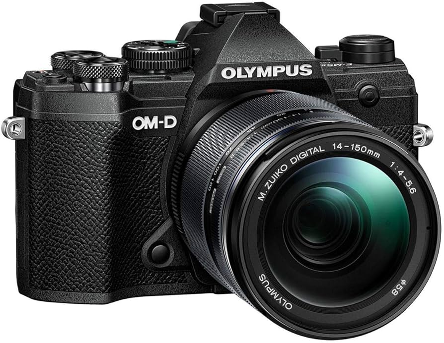 Amazon.com : OM SYSTEM OLYMPUS OM-D E-M5 Mark III Black Body with
