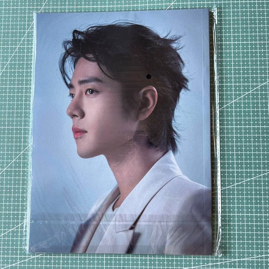 Amazon.co.jp: 陳情令 肖戦 シャオジャン A4写真集 64ページ : おもちゃ