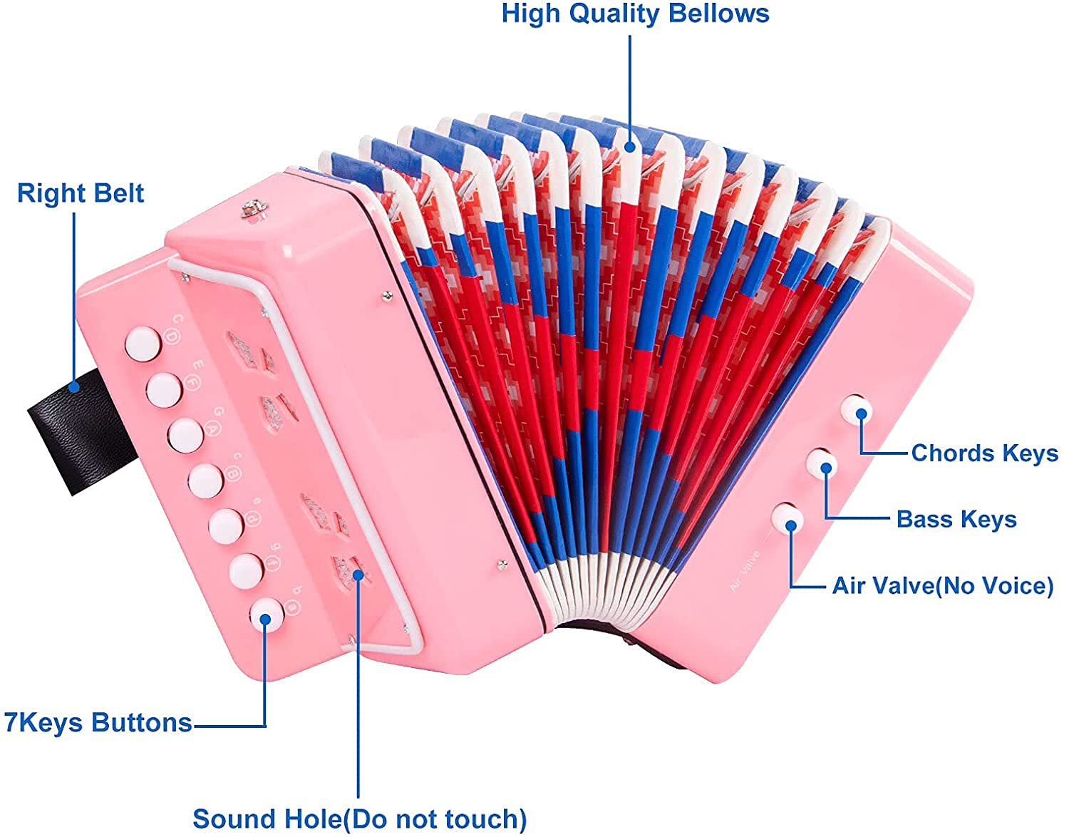 Amazon | Kmise ミニ アコーディオン ボタン式 7鍵 2ベース 子供用