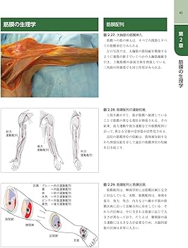 711-Oe0jNYL._AC_UF350,
