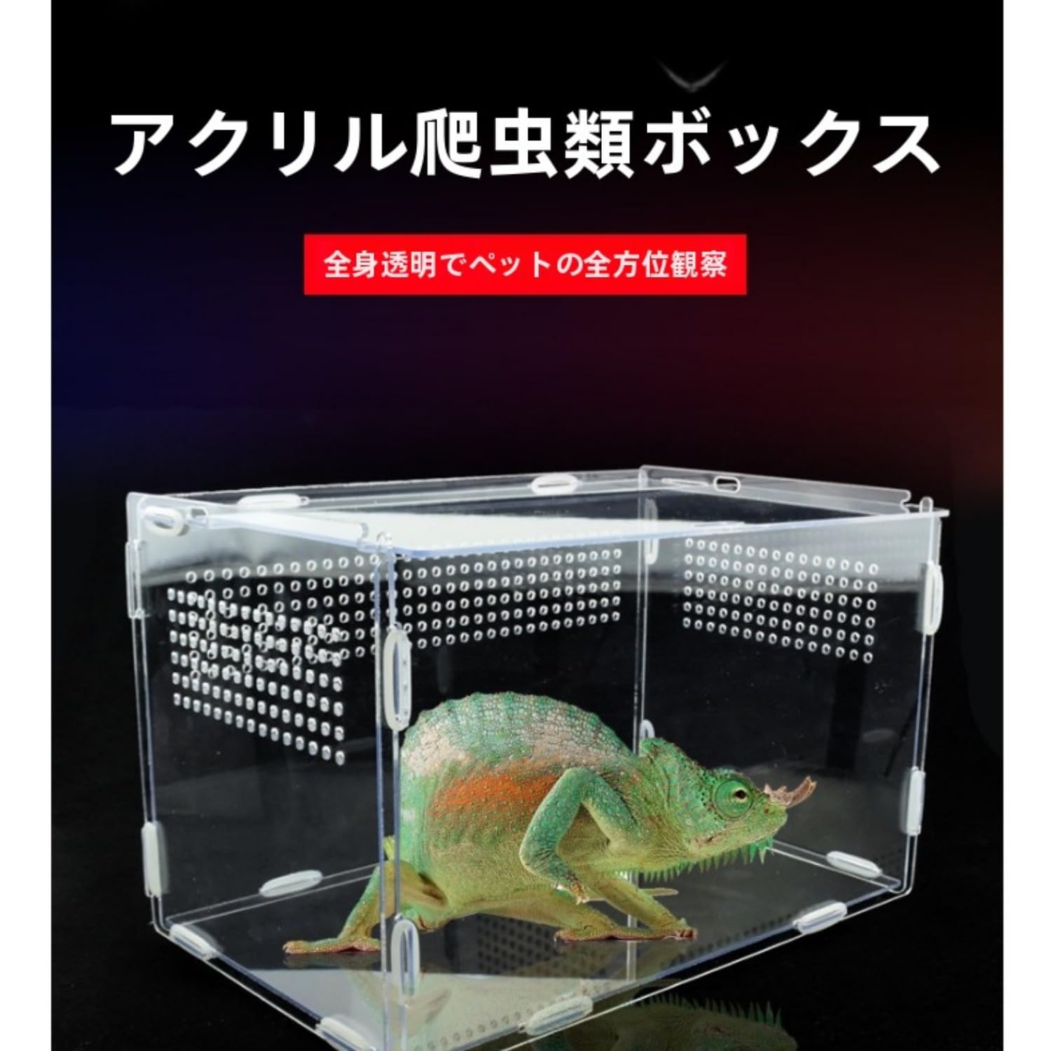 Amazon | 爬虫類用アクリル飼育ケース 爬虫類ペット用 トカゲ飼育