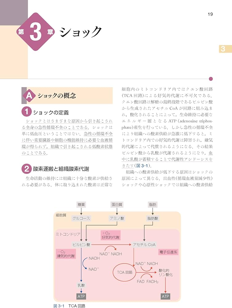 Amazon.co.jp: 標準外科学 第17版 (Standard Textbook) : 田邉 稔