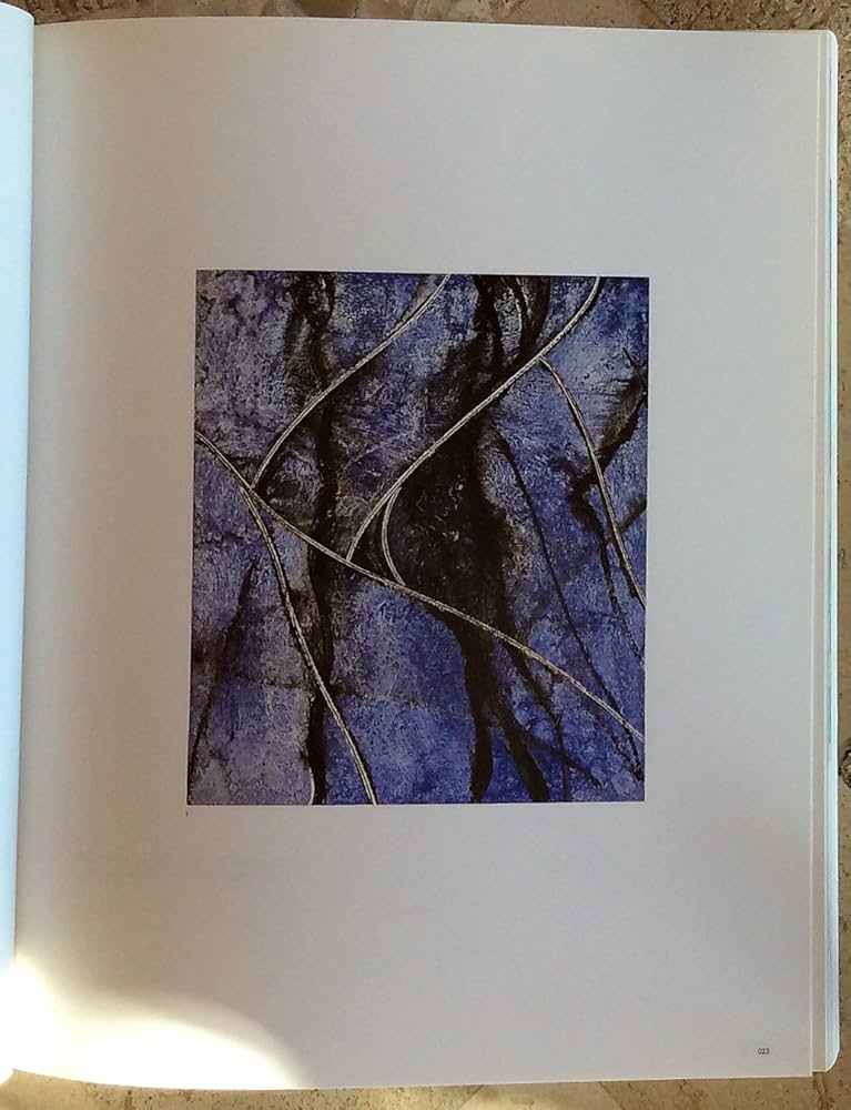 Amazon.com: Donald Judd Selected Works 1960-1991: Umezu, Gen