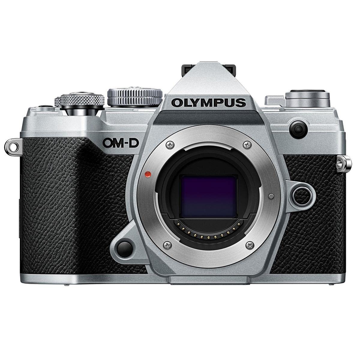 Amazon.com : OM System Olympus OM-D E-M5 Mark III Body Silver