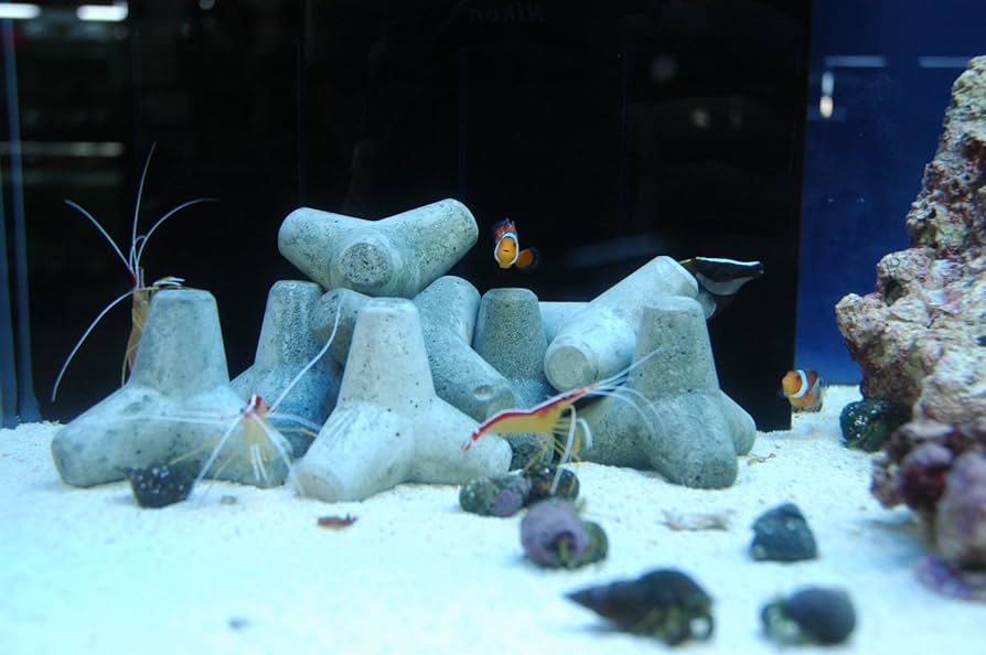 Amazon | テトラ工房【テノリテトラ水槽用Mサイズ】コンクリート製