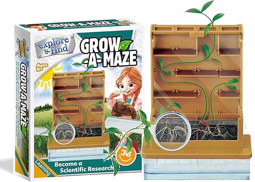 Amazon.com: AoForce Children's Seed Planting Growing Toys, Plant