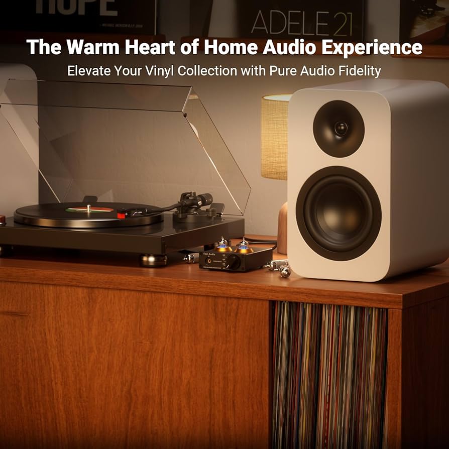 Amazon.co.jp: Fosi Audio BOX X2 プリアンプ MM ターンテーブル 5725W