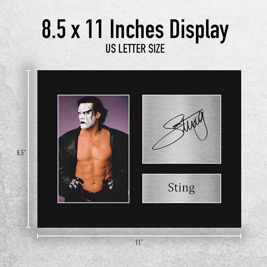 Amazon.com: HWC Trading Sting Gifts Signed Printed Autograph WWE