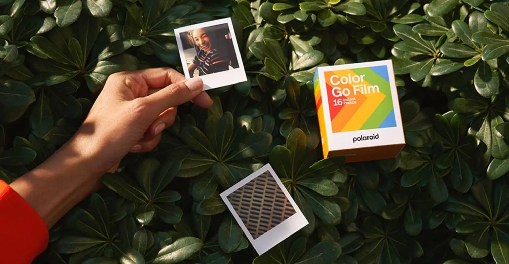 Amazon.com : Polaroid Go Color Film, 32 Mini Photos, 2 Double