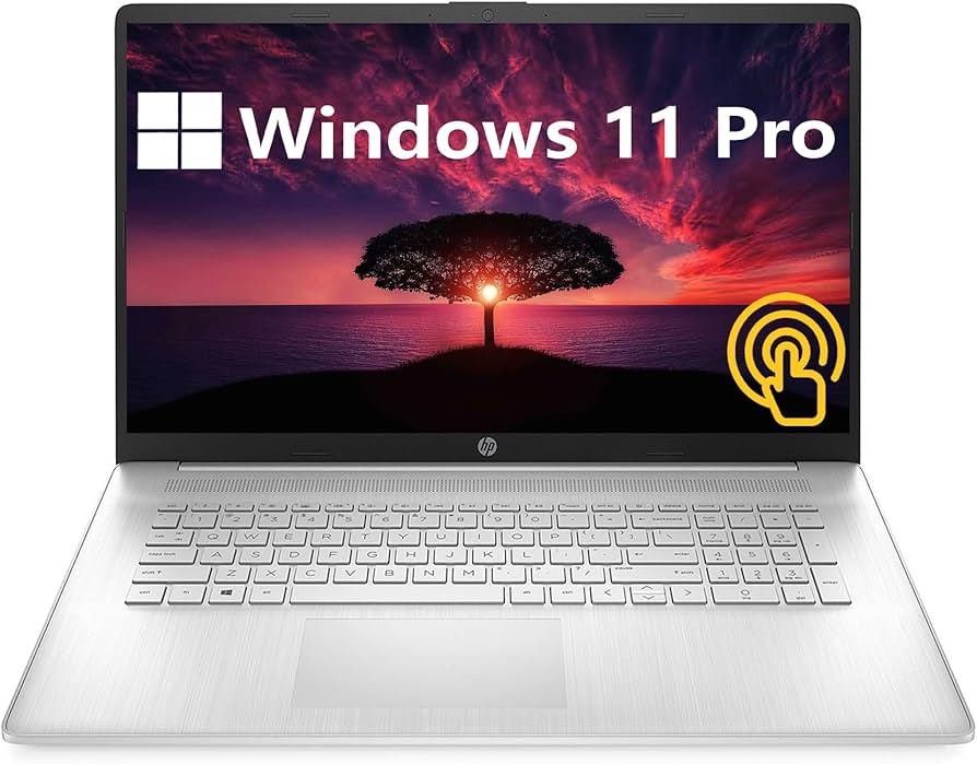 Amazon.com: HP [Windows 11 Pro] 17.3