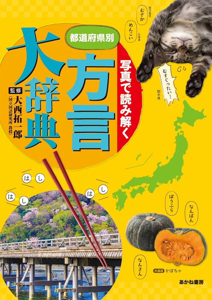 写真で読み解く 都道府県別方言大辞典 | 大西拓一郎 |本 | 通販 | Amazon