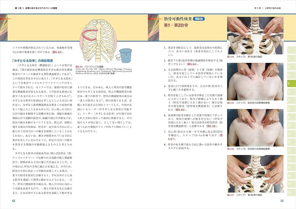 増補改訂版 オステオパシーアトラス―マニュアルセラピーの理論と実践