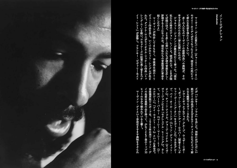 Amazon.co.jp: マーヴィン・ゲイ物語 引き裂かれたソウル (P‐Vine