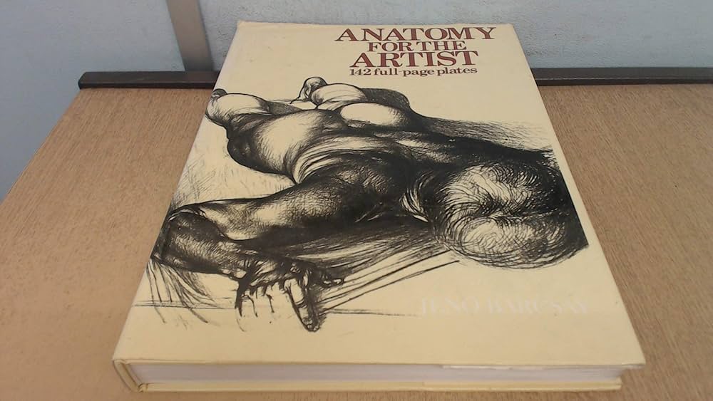 Anatomy for the Artist: Jenő Barcsay: 9780316907644: Amazon.com: Books