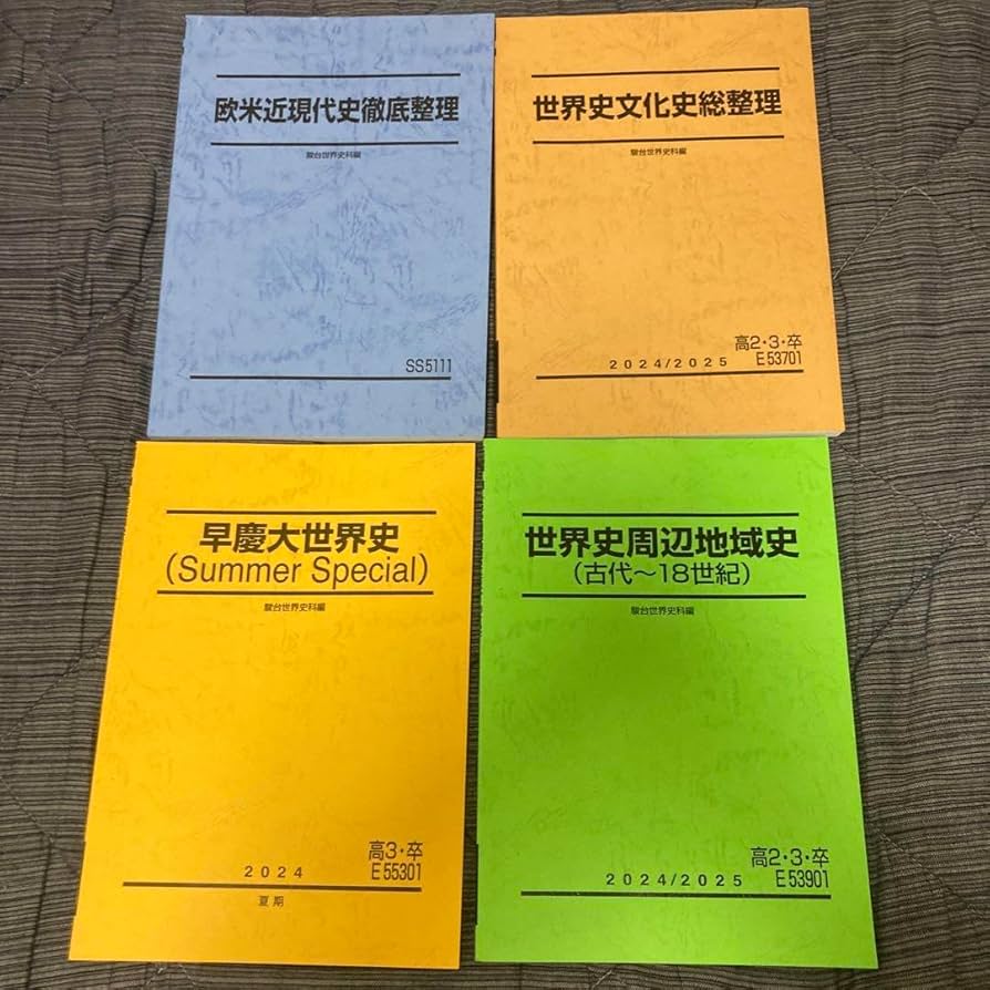 Amazon.co.jp: 駿台 世界史 夏期講習テキスト パリ 2025年度版 : おもちゃ
