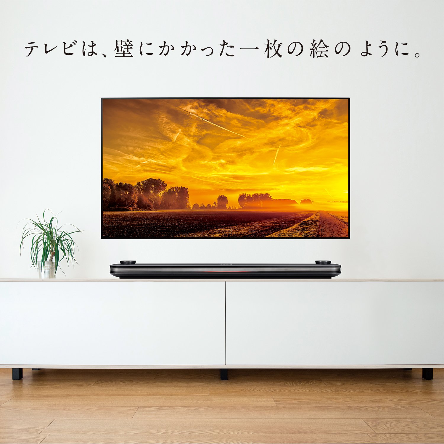 Amazon | LG 65V型 有機EL テレビ OLED65W7P 4K 外付けHDD裏番組録画
