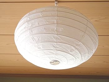 71t24Zs3JwL._AC_UF350,