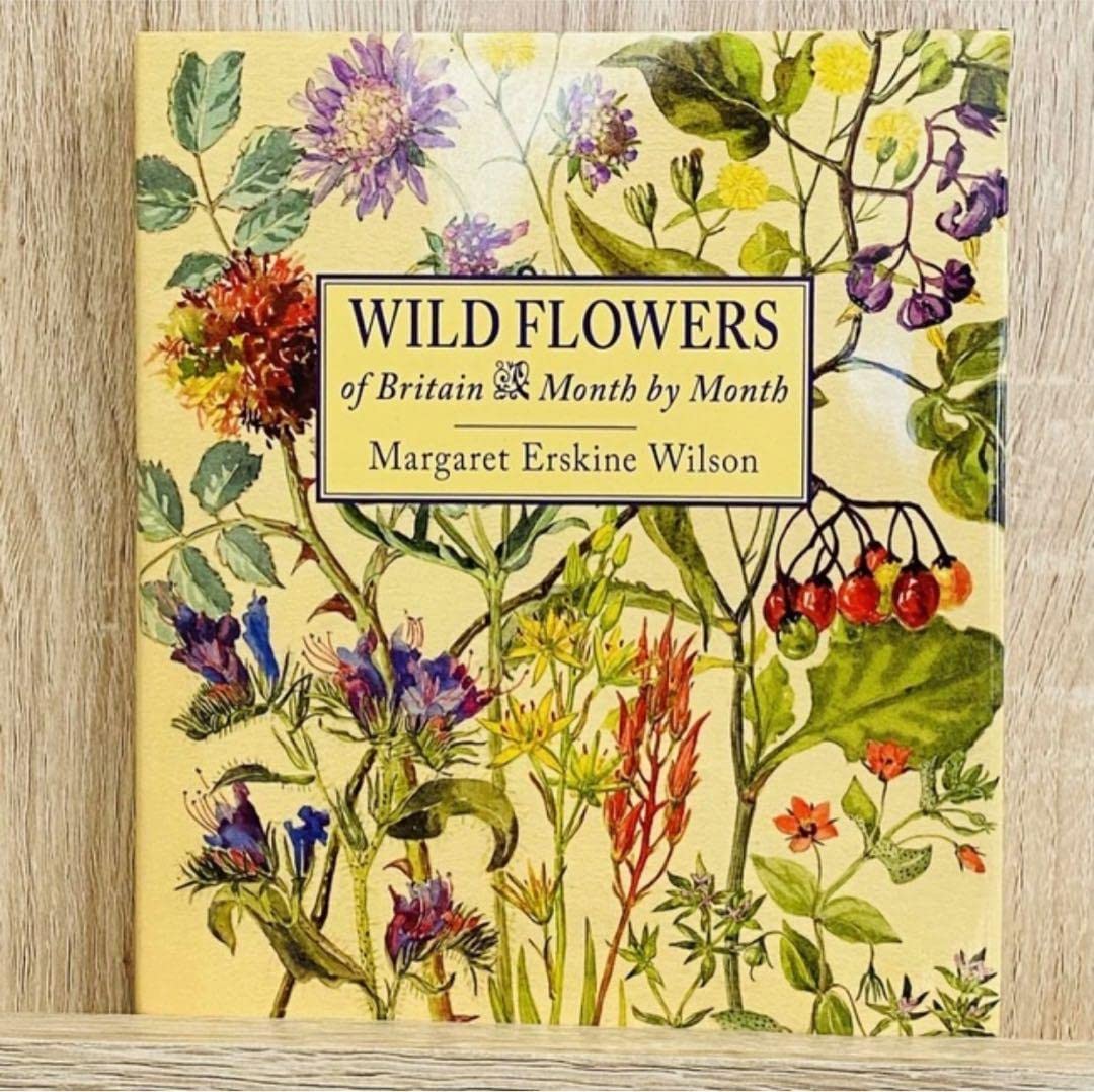 Amazon.co.jp: 特別アート洋書 植物図鑑 アンティーク風 レトロ