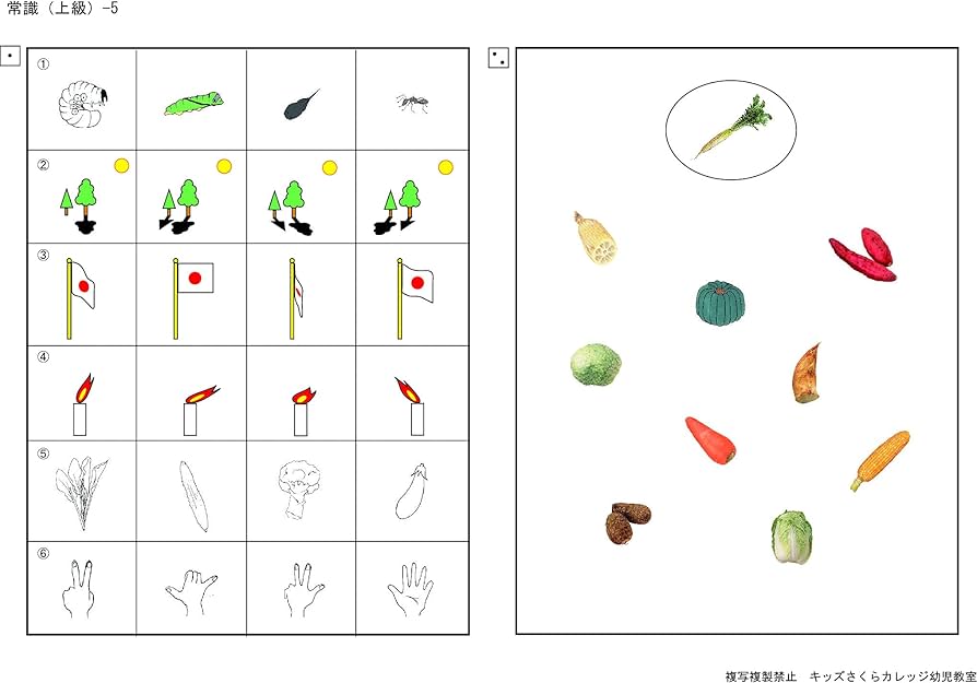 Amazon.co.jp: 私立小学校入試 問題集 分野別 常識 上級セット : おもちゃ
