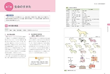 愛玩動物看護師の教科書 第1巻 | 緑書房編集部 |本 | 通販 | Amazon