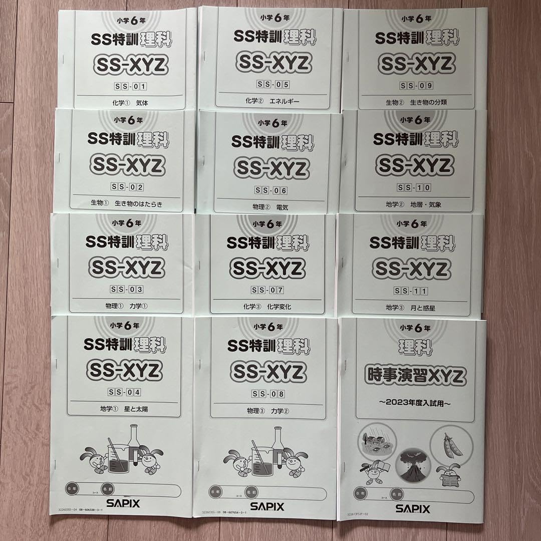 2024年度 SAPIX 6年 最新版 全部セット 2024年度 SAPIX 6年 最新版
