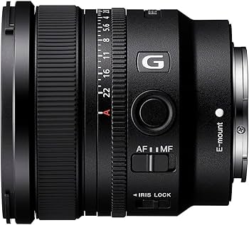 Amazon.co.jp: ソニー 広角単焦点レンズ フルサイズ FE 16mm F1.8 G G