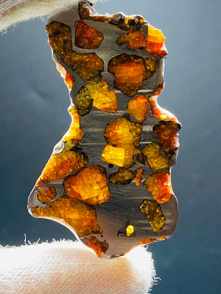 ねこし イミラック隕石 パラサイト 標本ケース土台付き ねこし様専用