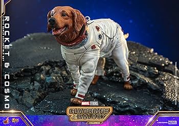 71u-ZRMQaqL._AC_UF350,