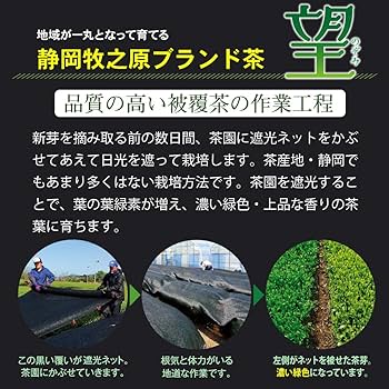 Amazon.co.jp: 荒畑園 大地の詩 望金印 100g 静岡産 静岡牧之原