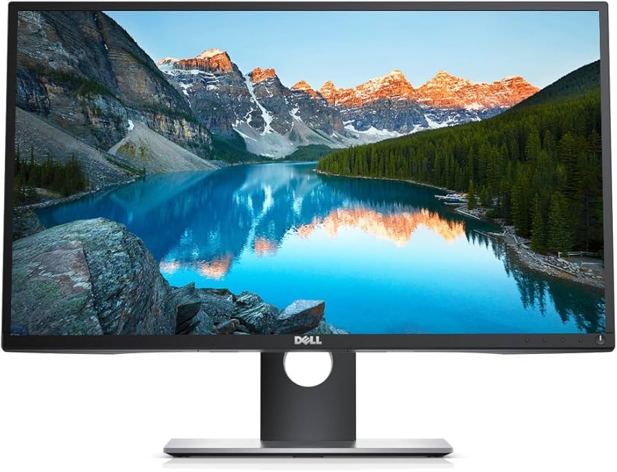 Amazon.com: Dell Professional P2317H 23