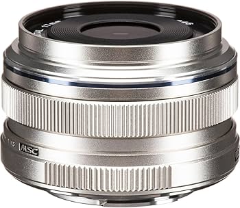 Amazon.com : OM SYSTEM Olympus M.Zuiko Digital 17mm F1.8 Silver