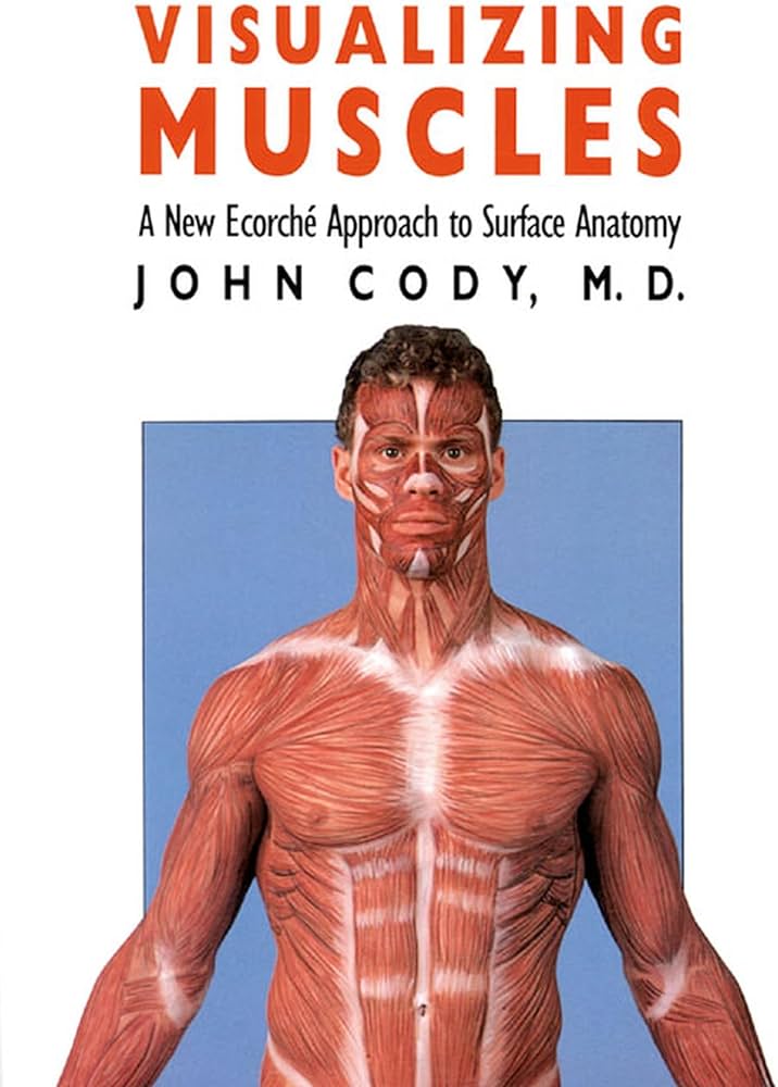 Visualizing Muscles: A New Ecorché Approach to Surface Anatomy