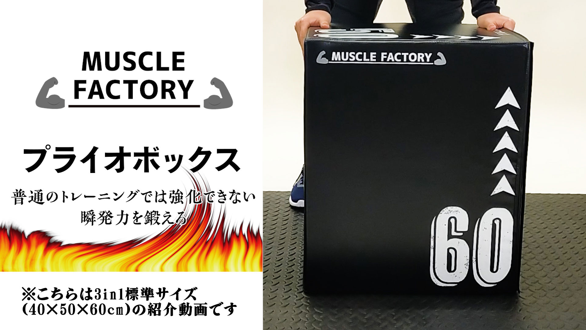 Amazon | MUSCLE FACTORY プライオボックス ソフト 40×50×60cm