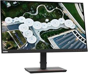 Amazon.com: Lenovo ThinkVision S24e-20 24