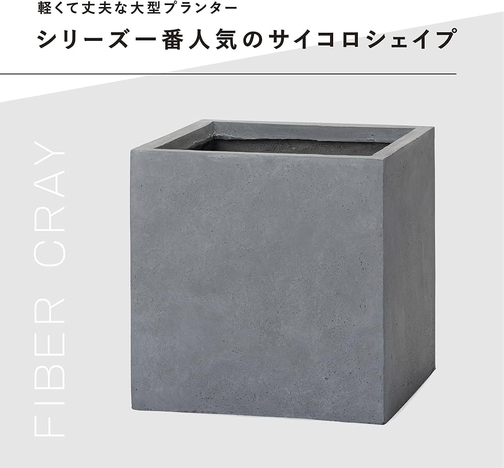 71uumBI3OkL._AC_UF1000,