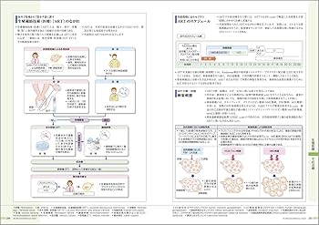 病気がみえる vol.9 婦人科・乳腺外科 第4版 | 医療情報科学研究所 |本