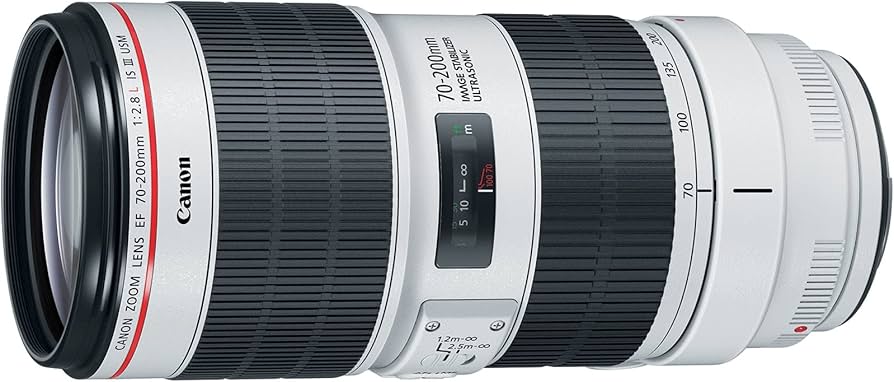 Amazon.com : Canon EF 70-200mm f/2.8L Is III USM Lens for Canon
