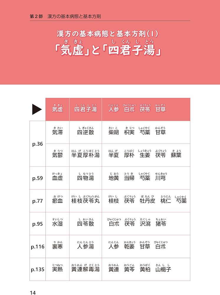 きちんと治せる漢方を最短コースで学ぶための山本巌流漢方入門―基本