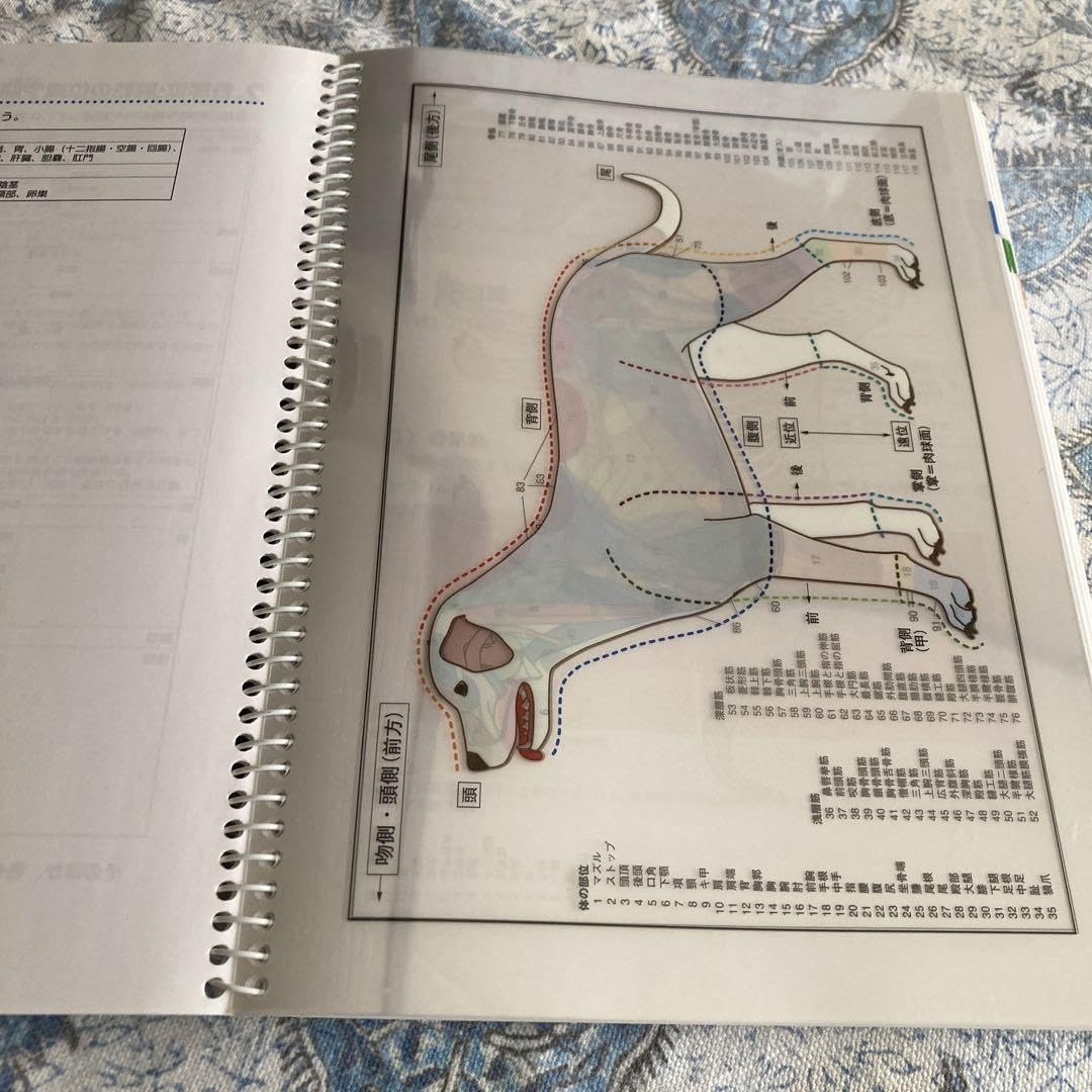 Amazon.co.jp: 動物看護実習テキスト 第3版 : おもちゃ