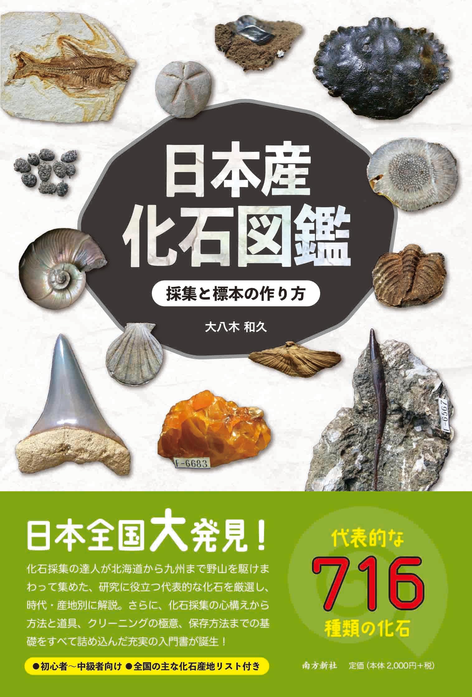 Amazon.co.jp: 日本産化石図鑑 採集と標本の作り方 : 大八木 和久: 本