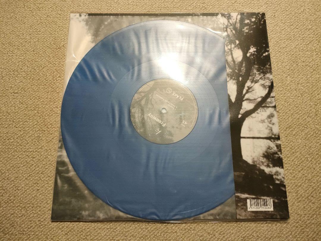 Amazon.co.jp: んoon Freeway Body レコード2枚セット : おもちゃ