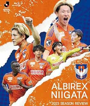 71w1a4nQKDL._AC_UF350,