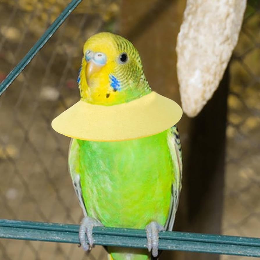 Amazon | 柔らかい鳥の首輪 |オウムの咬傷防止エリザベスカラー