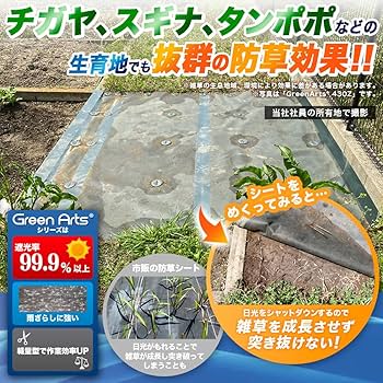 71wGXSM3UHL._AC_UF350,