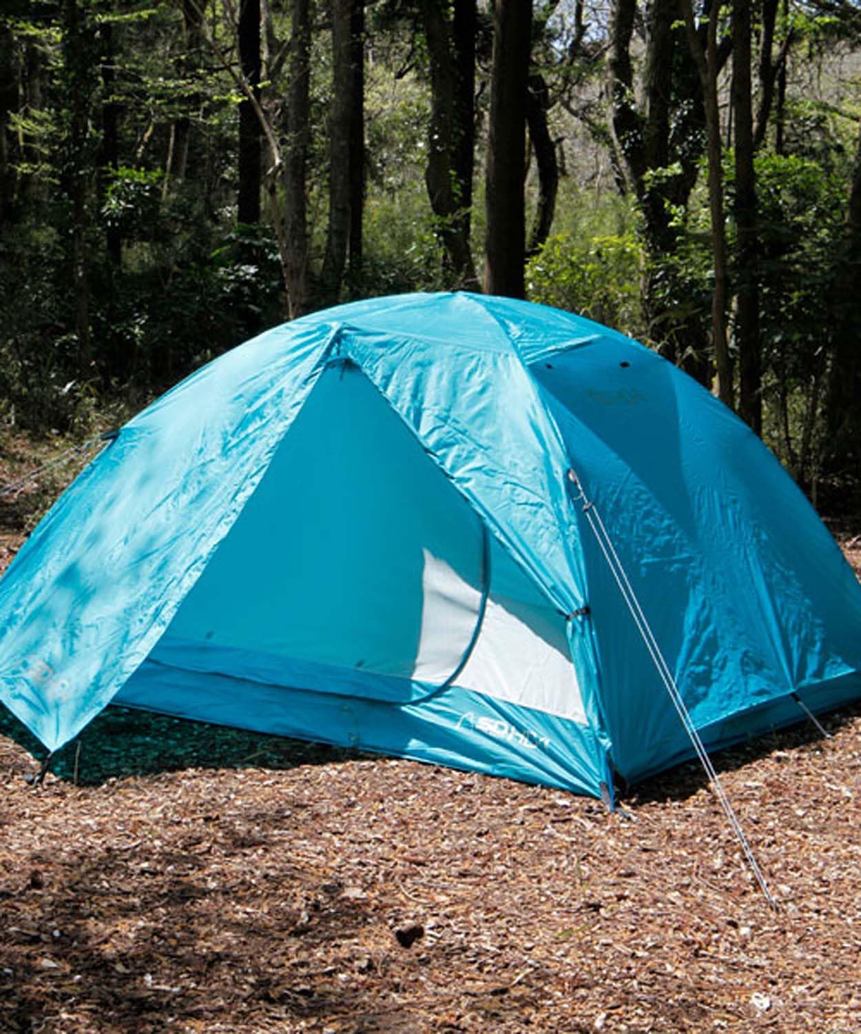 Amazon.co.jp: シエラデザインズ(SIERRA DESIGNS) アウトドア キャンプ