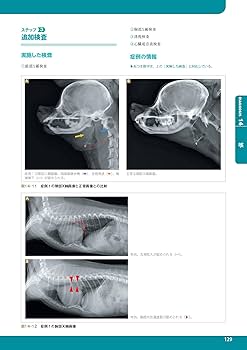 Amazon.co.jp: アルゴリズムでよみとく 獣医師のための 鑑別診断