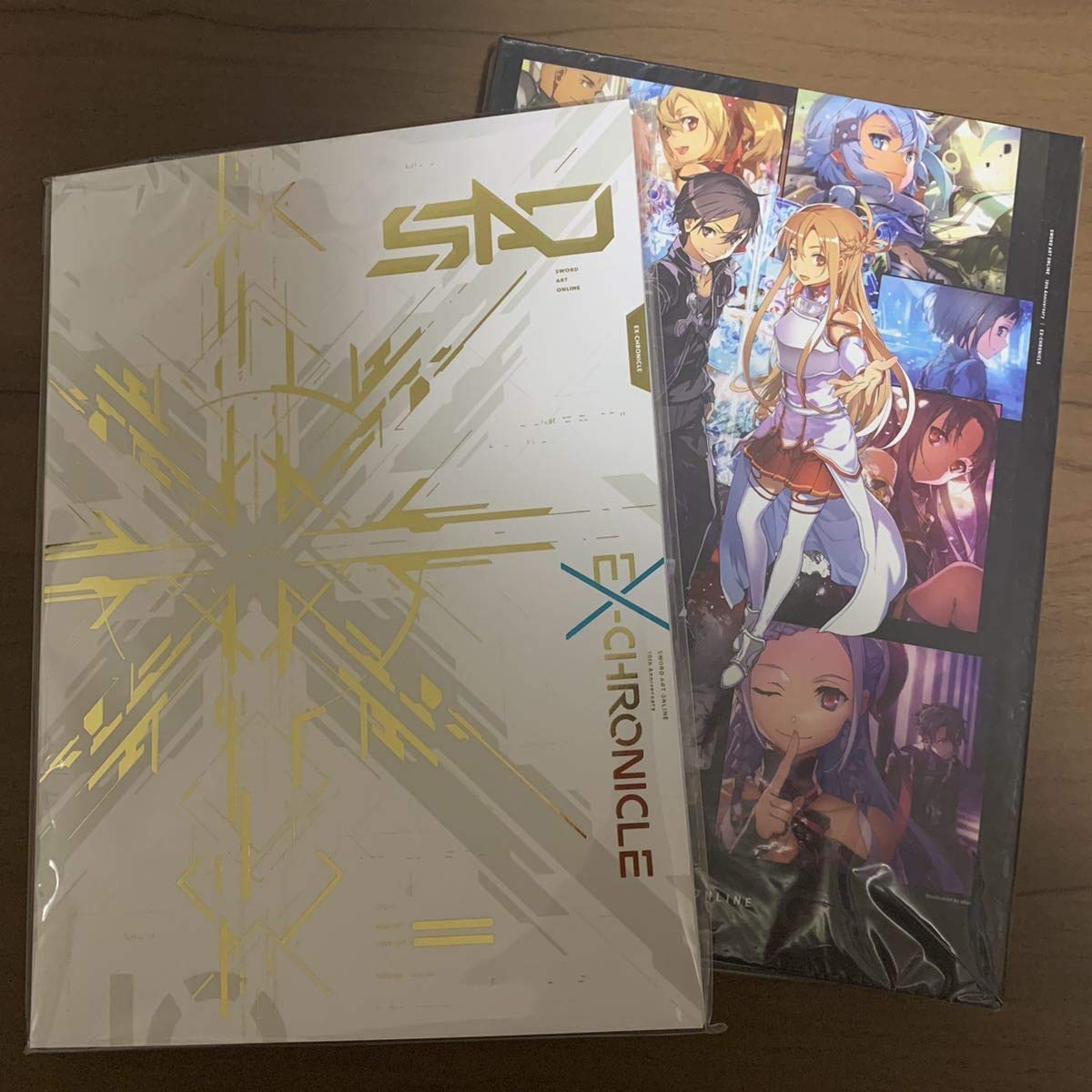 Amazon.co.jp: 10周年記念 パンフレットEX-CHRONICLEPictorial Archive